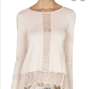BCBG MAXAZRIA Blush Lace Top